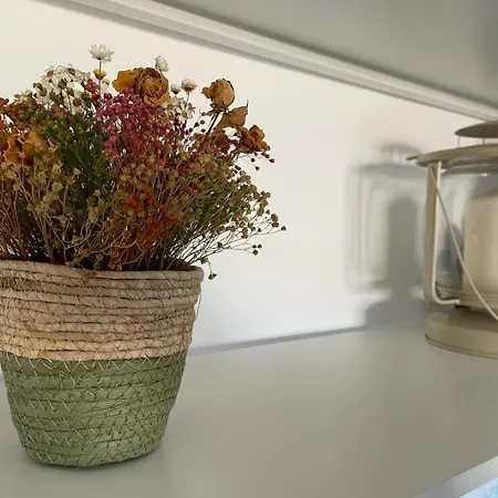 Apartment Excelente Atico Con Gran Terraza Y Barbacoa En Canet D'en Berenguer